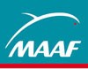 logo maaf